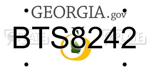 BTS8242 Georgia License Plate