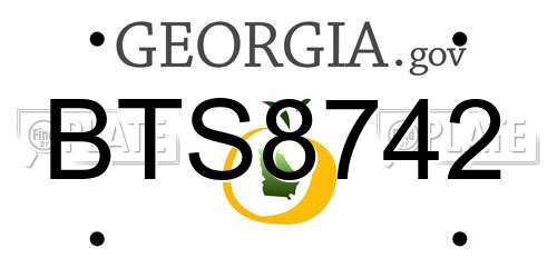 BTS8742 Georgia License Plate