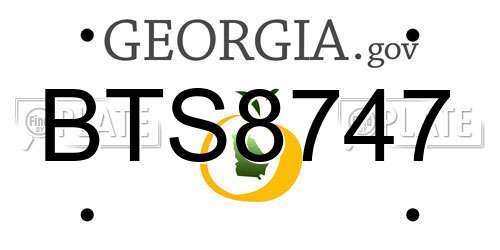 BTS8747 Georgia License Plate