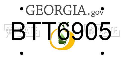 BTT6905 Georgia License Plate