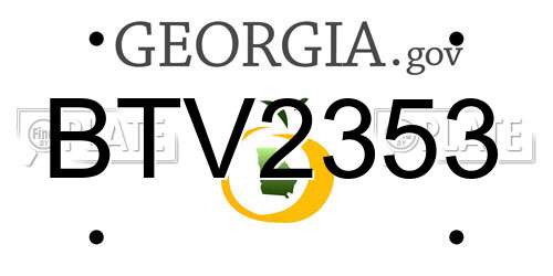 BTV2353 Georgia License Plate