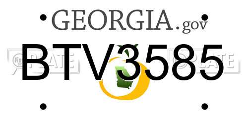 BTV3585 Georgia License Plate