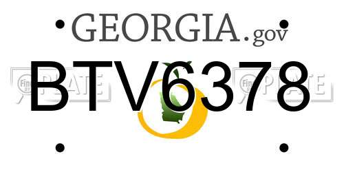 BTV6378 Georgia License Plate