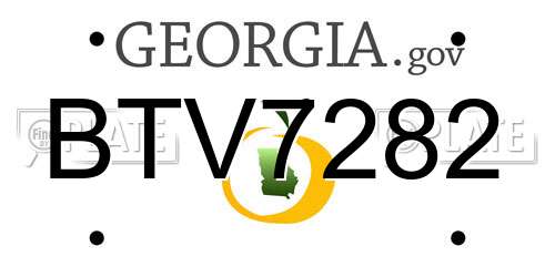 BTV7282 Georgia License Plate