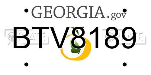 BTV8189 Georgia License Plate
