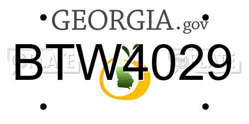BTW4029 Georgia License Plate