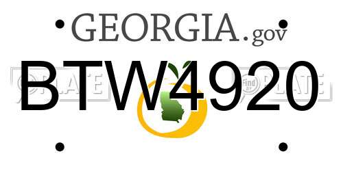 BTW4920 Georgia License Plate