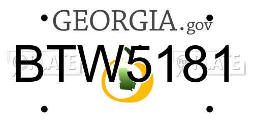 BTW5181 Georgia License Plate