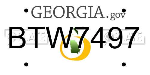 BTW7497 Georgia License Plate