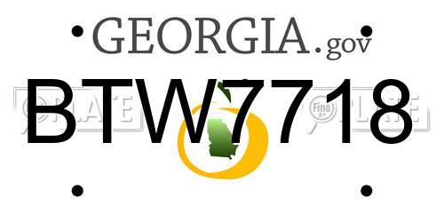 BTW7718 Georgia License Plate