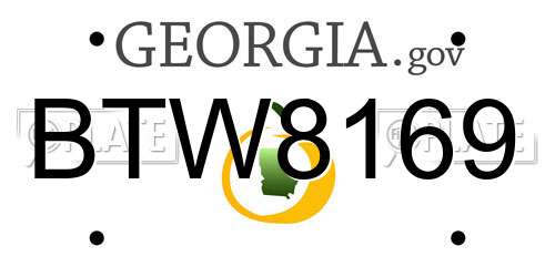 BTW8169 Georgia License Plate