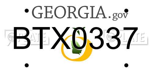 BTX0337 Georgia License Plate