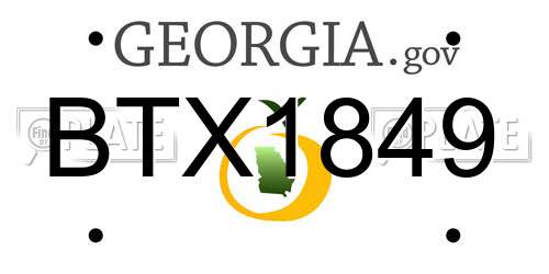 BTX1849 Georgia License Plate