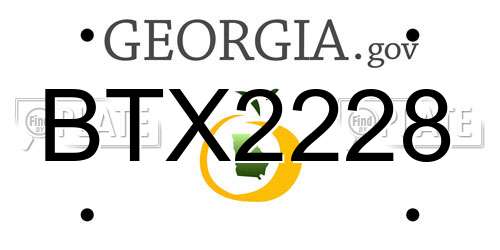 BTX2228 Georgia License Plate