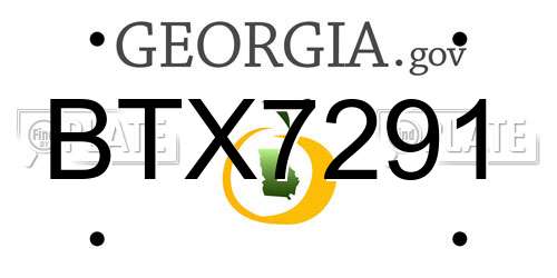 BTX7291 Georgia License Plate