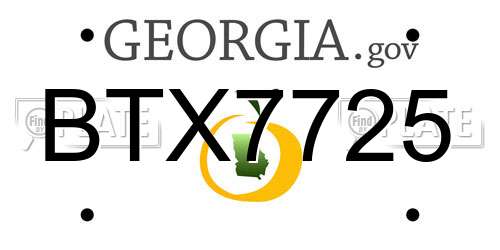 BTX7725 Georgia License Plate