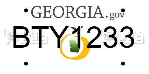 BTY1233 Georgia License Plate