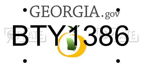 BTY1386 Georgia License Plate
