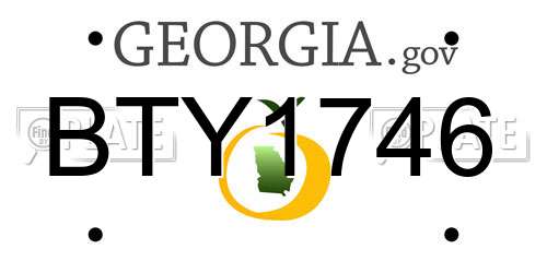 BTY1746 Georgia License Plate