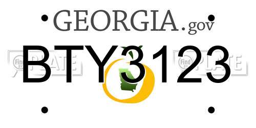 BTY3123 Georgia License Plate