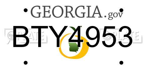 BTY4953 Georgia License Plate