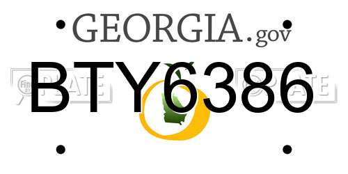 BTY6386 Georgia License Plate