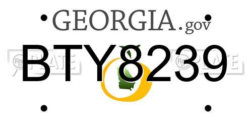 BTY8239 Georgia License Plate