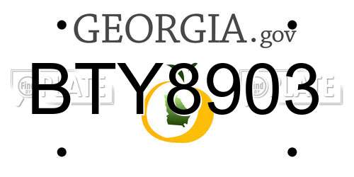 BTY8903 Georgia License Plate