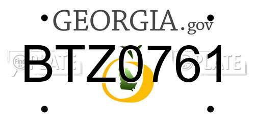 BTZ0761 Georgia License Plate