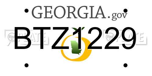 BTZ1229 Georgia License Plate