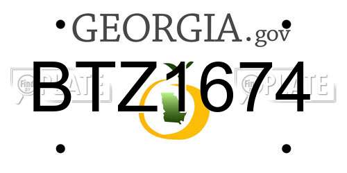 BTZ1674 Georgia License Plate