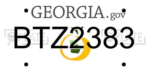 BTZ2383 Georgia License Plate