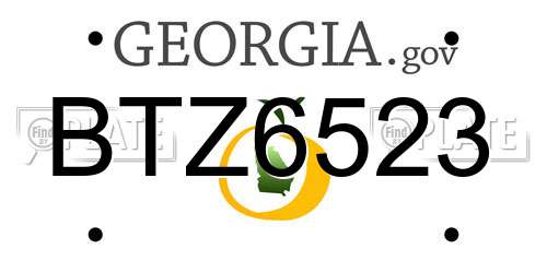 BTZ6523 Georgia License Plate