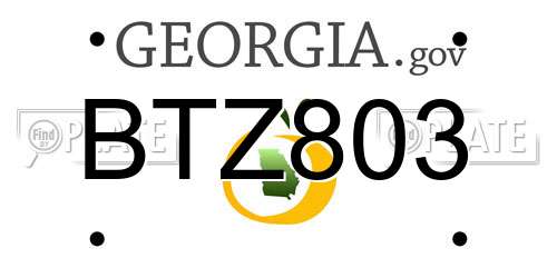 BTZ803 Georgia License Plate
