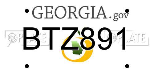 BTZ891 Georgia License Plate