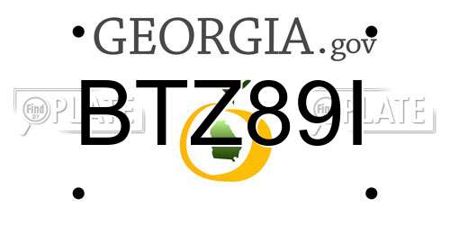 BTZ89I Georgia License Plate