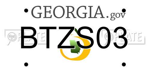BTZS03 Georgia License Plate