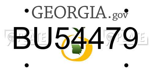 BU54479 Georgia License Plate