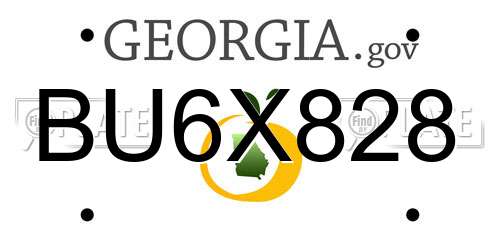 BU6X828 Georgia License Plate