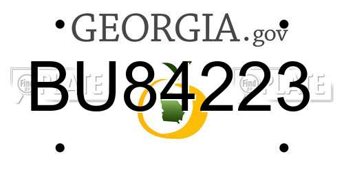 BU84223 Georgia License Plate