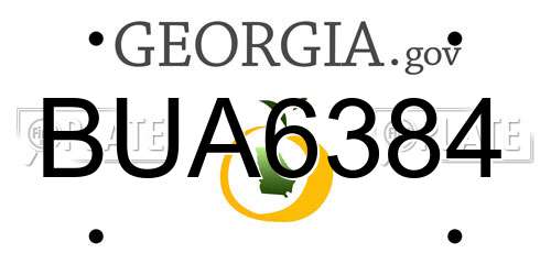 BUA6384 Georgia License Plate