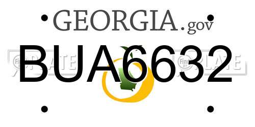 BUA6632 Georgia License Plate
