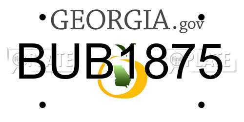 BUB1875 Georgia License Plate