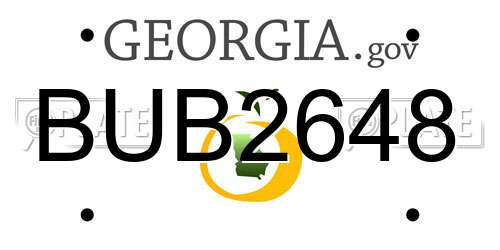 BUB2648 Georgia License Plate