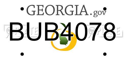 BUB4078 Georgia License Plate