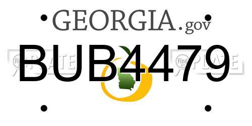 BUB4479 Georgia License Plate