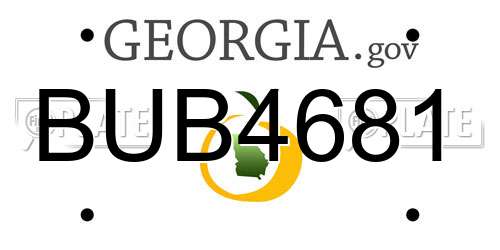 BUB4681 Georgia License Plate