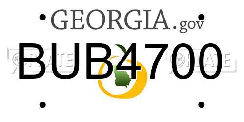 BUB4700 Georgia License Plate