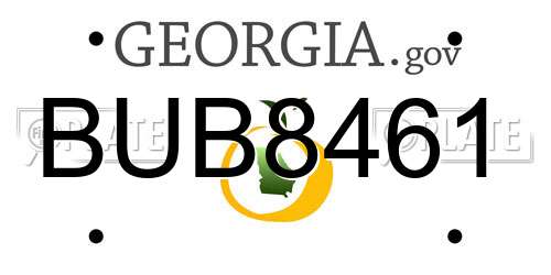 BUB8461 Georgia License Plate