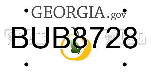 BUB8728 Georgia License Plate
